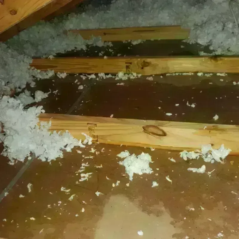 Attic Water Damage in Beaver County, OK