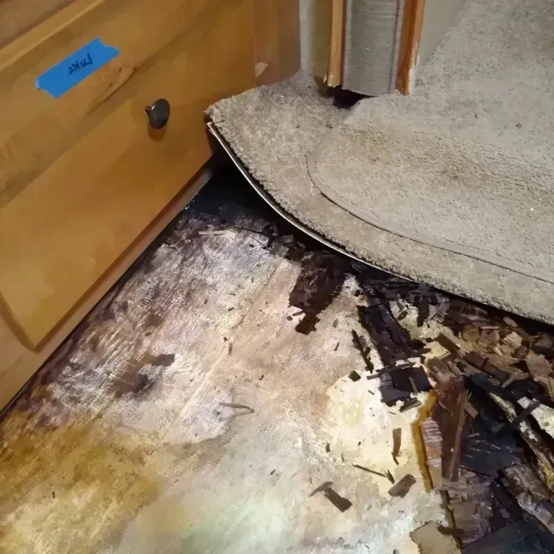 Wood Floor Water Damage in Beaver County, OK